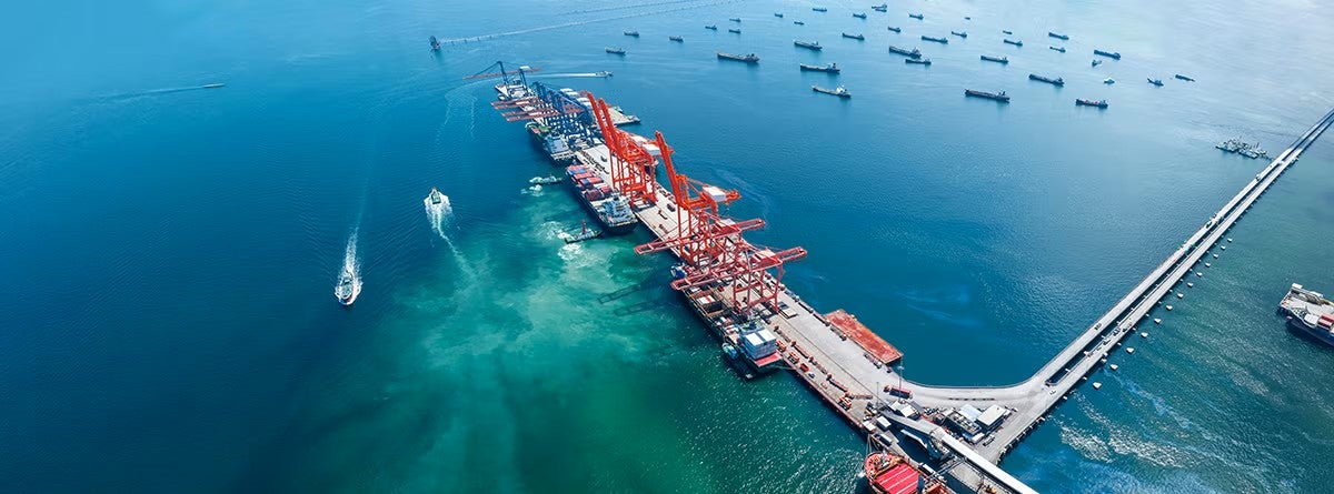 Cargo ships waiting their turn to enter the port for unloading.