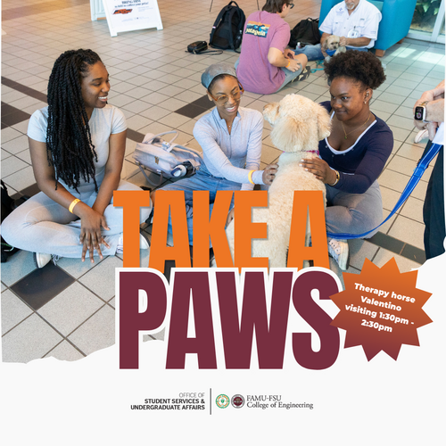 Take a Paws graphic