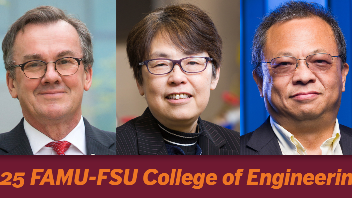 collage of famu-fsu engineering professor headshots