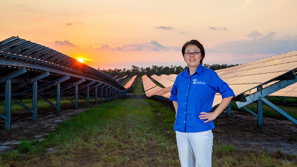 photo of woman in blue shirt and white pants standing in front of solar panel array at sunset