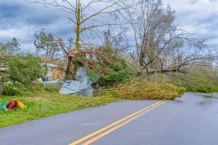 photo of hurricane michael damage in florida