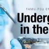 undergrad in the lab