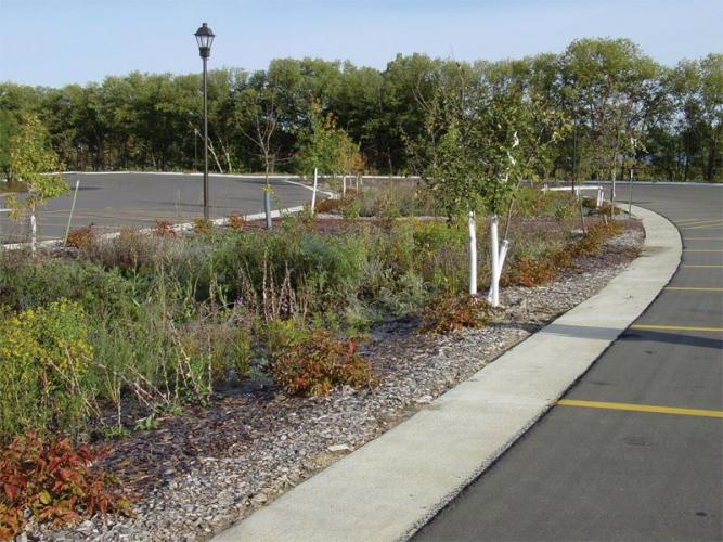 bioretention basin