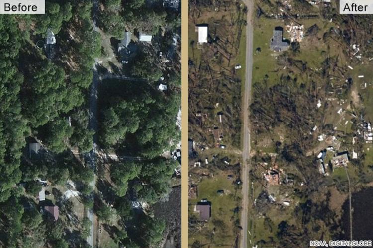 hurricane michael tallahassee before and after