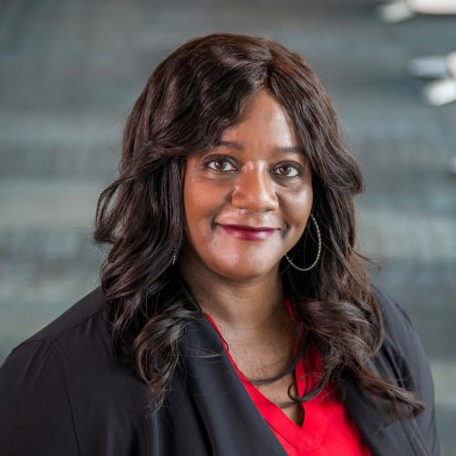 photo of electrical and computer engineering researcher shonda bernadin famu-fsu engineering