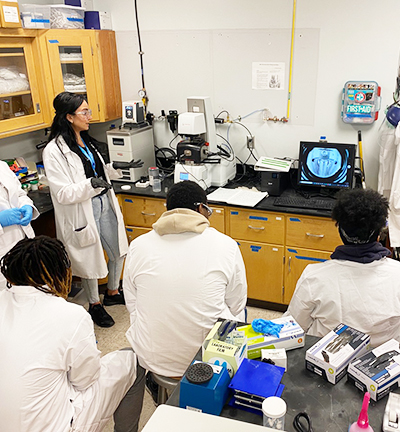 high school students in college engineering lab