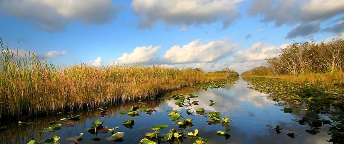 florida everglades