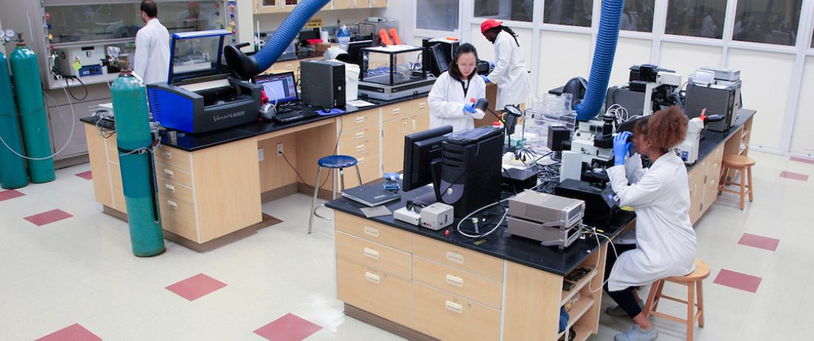 engineering students in research lab