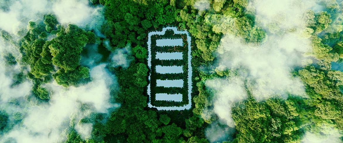 photoillustration of battery icon cut out of forest seen from above