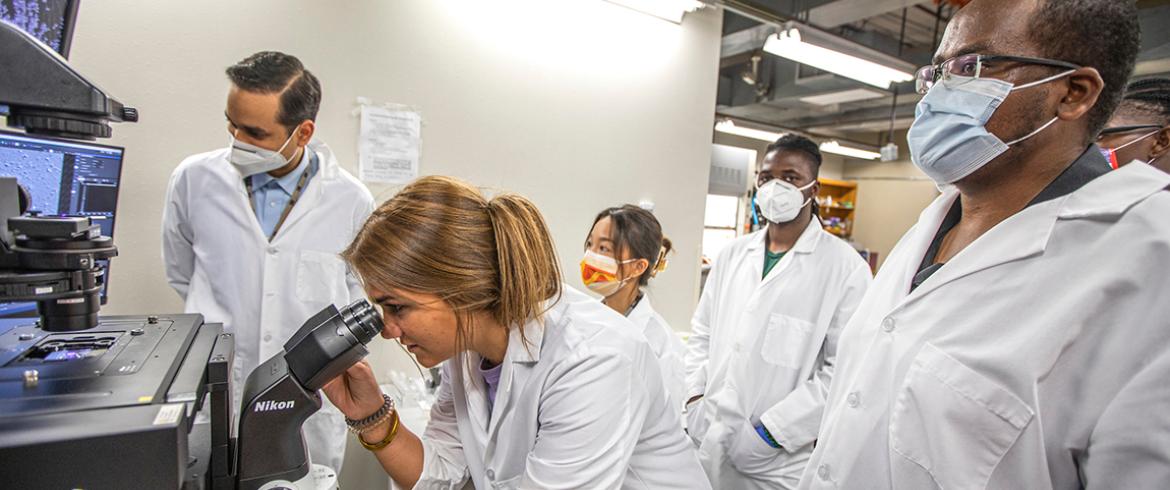 biomedical engineering students in the lab at famu-fsu college of engineering