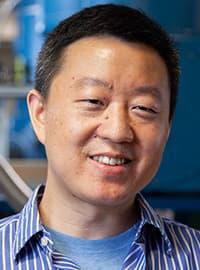 Wei Guo, Ph.D.