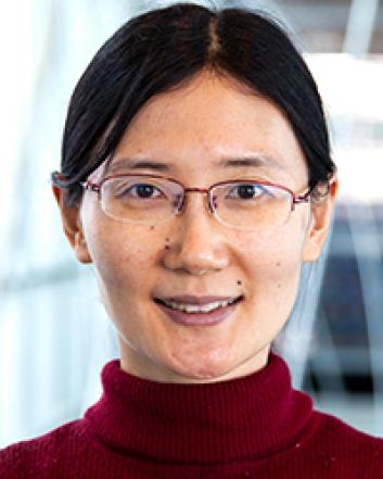 Yuan Li, Ph.D.