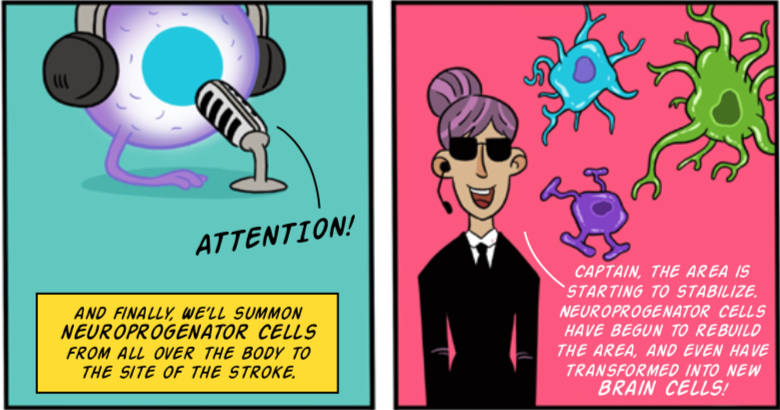 stroke illus 7