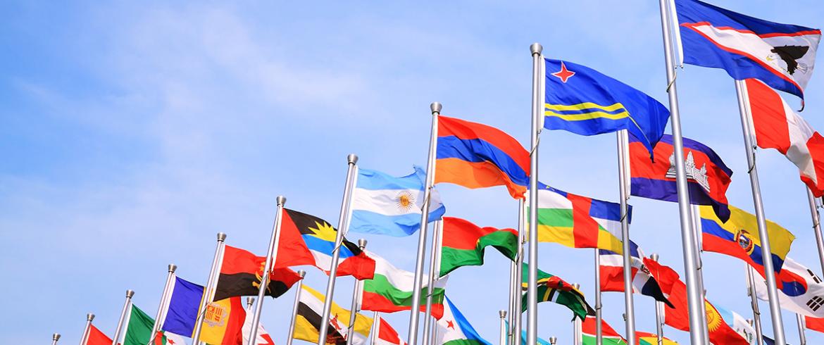 photo of international flags