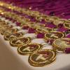 Garnet and Gold Scholar Society
