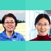 Olugbenga Moses Anubi, Hui Li, Yuan Li & Fang Peng