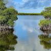 estuary